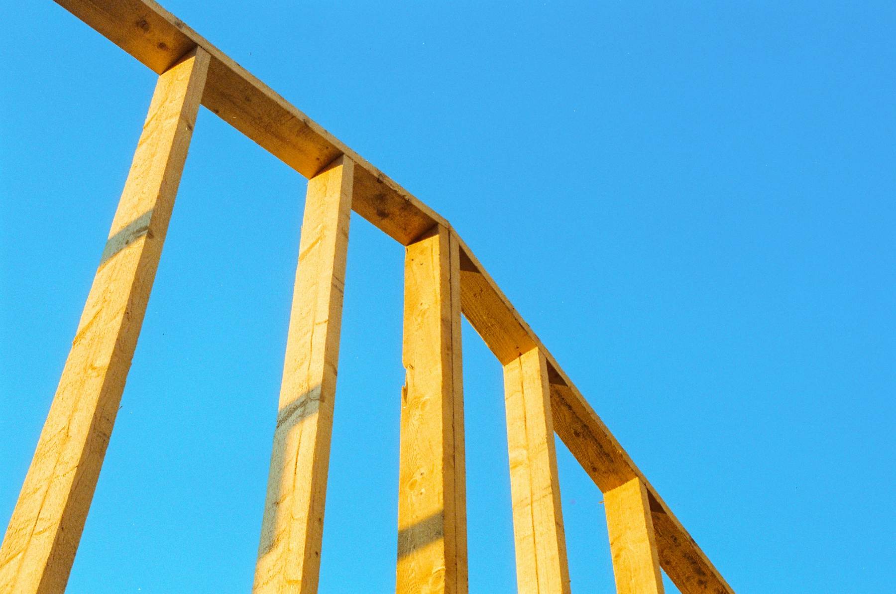New timber posts standing against a clear blue sky