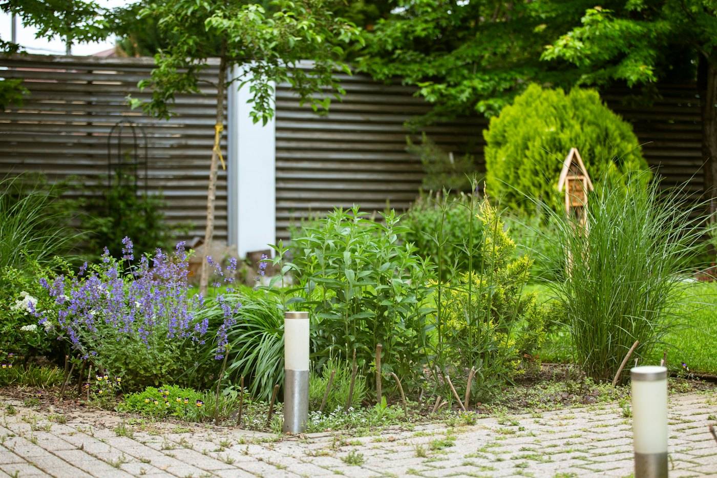 A planted garden of purple salvia, grasses and shrubs in front of a horizontal wood fence
