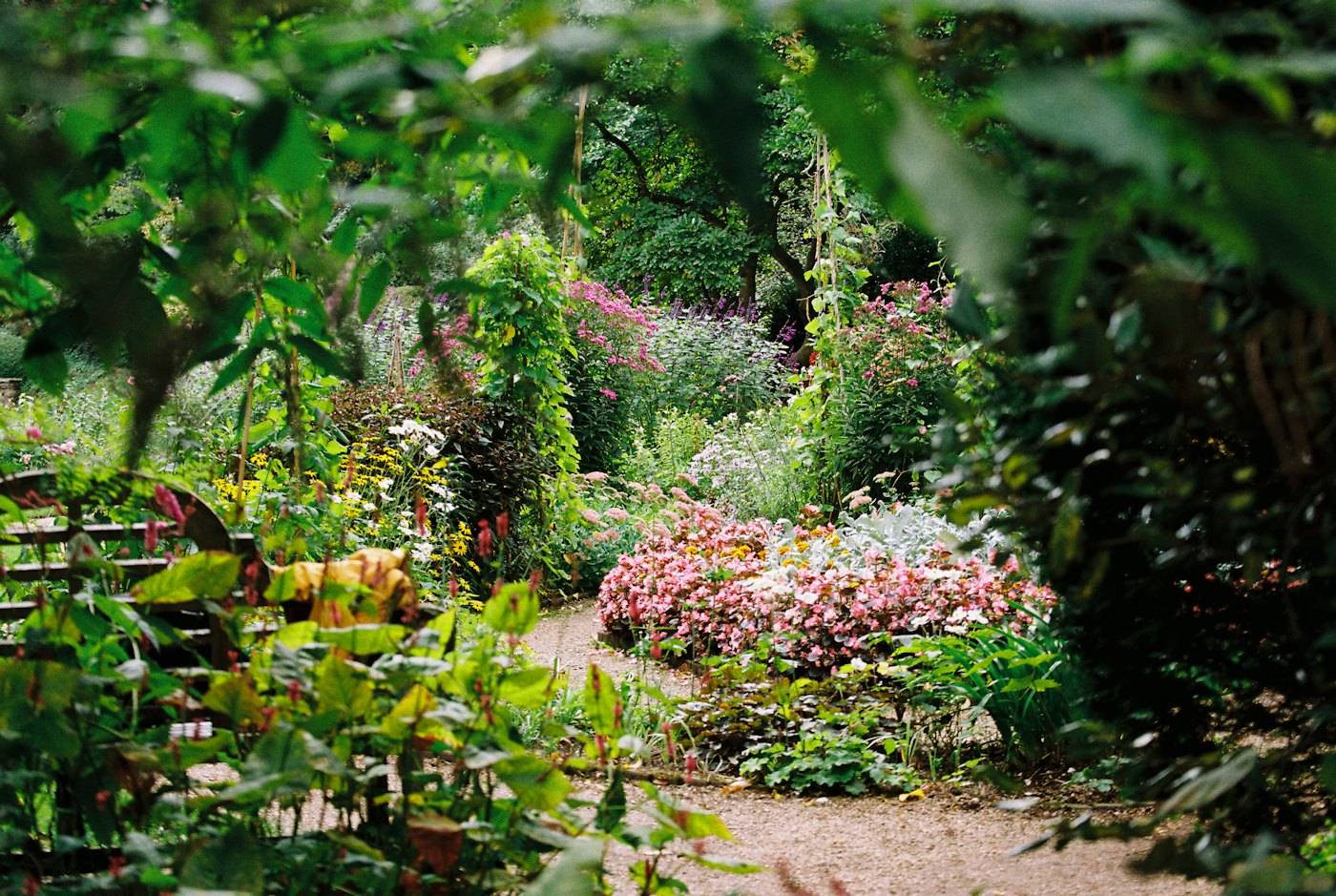 A gravel path curving through a lush, layered garden
