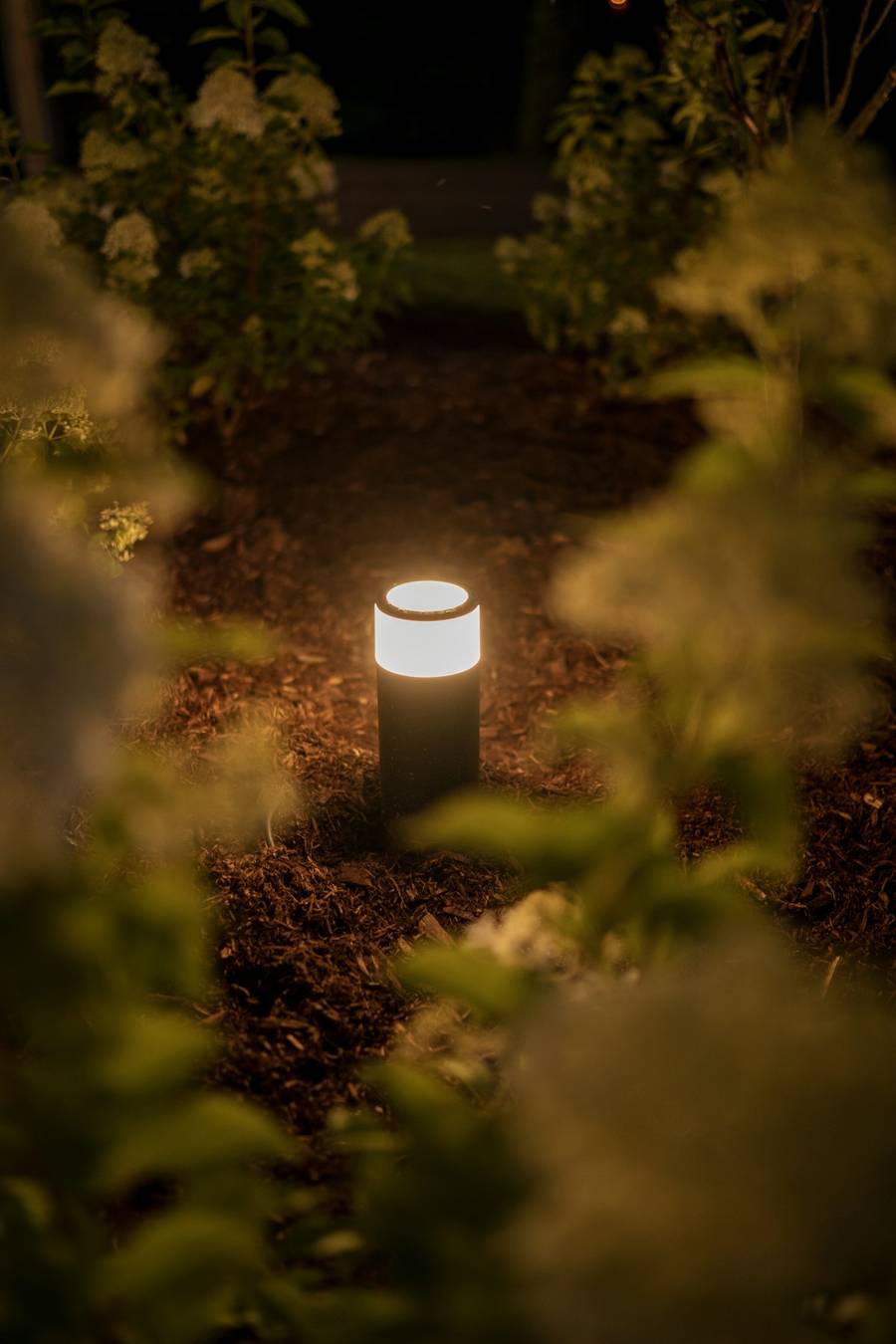A low garden light glowing along a mulched path at night