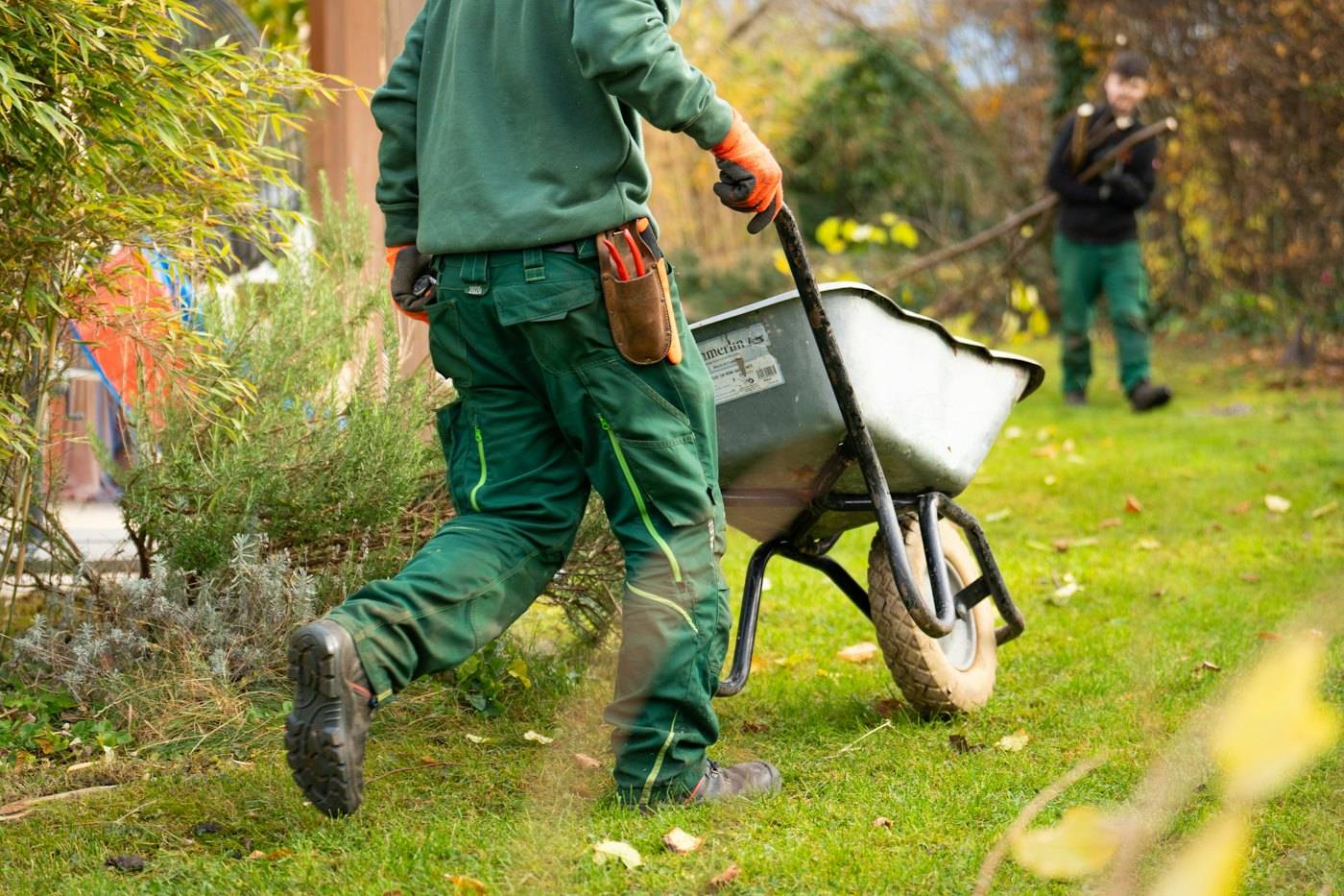 A landscaper in work clothes pushing a wheelbarrow across a lawn, with a second crew member behind him