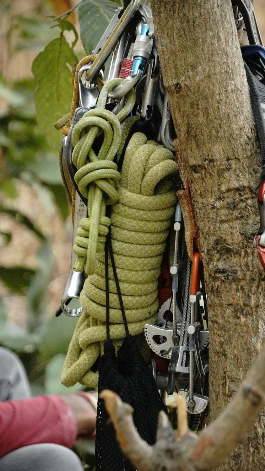 Ropes, carabiners and climbing gear hanging from a tree