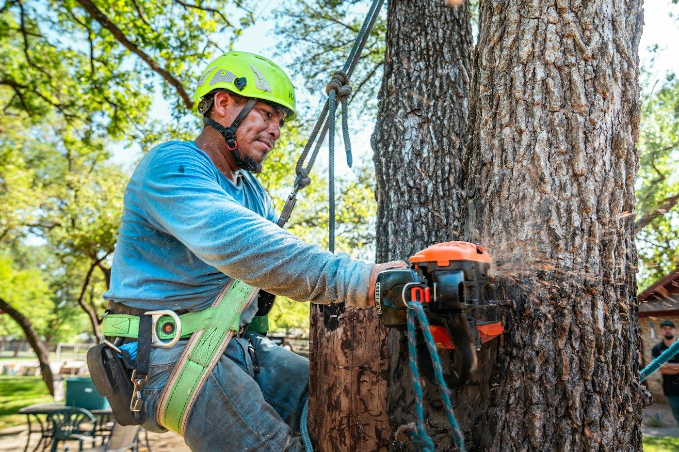 A climber in a green helmet and harness cutting a trunk while roped in