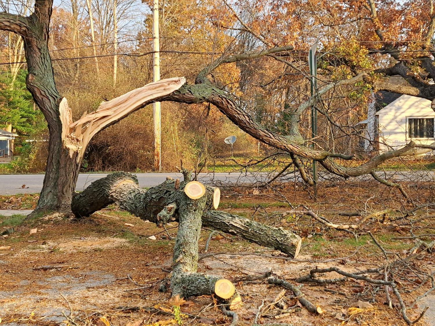 A split tree trunk lying across a yard after a storm