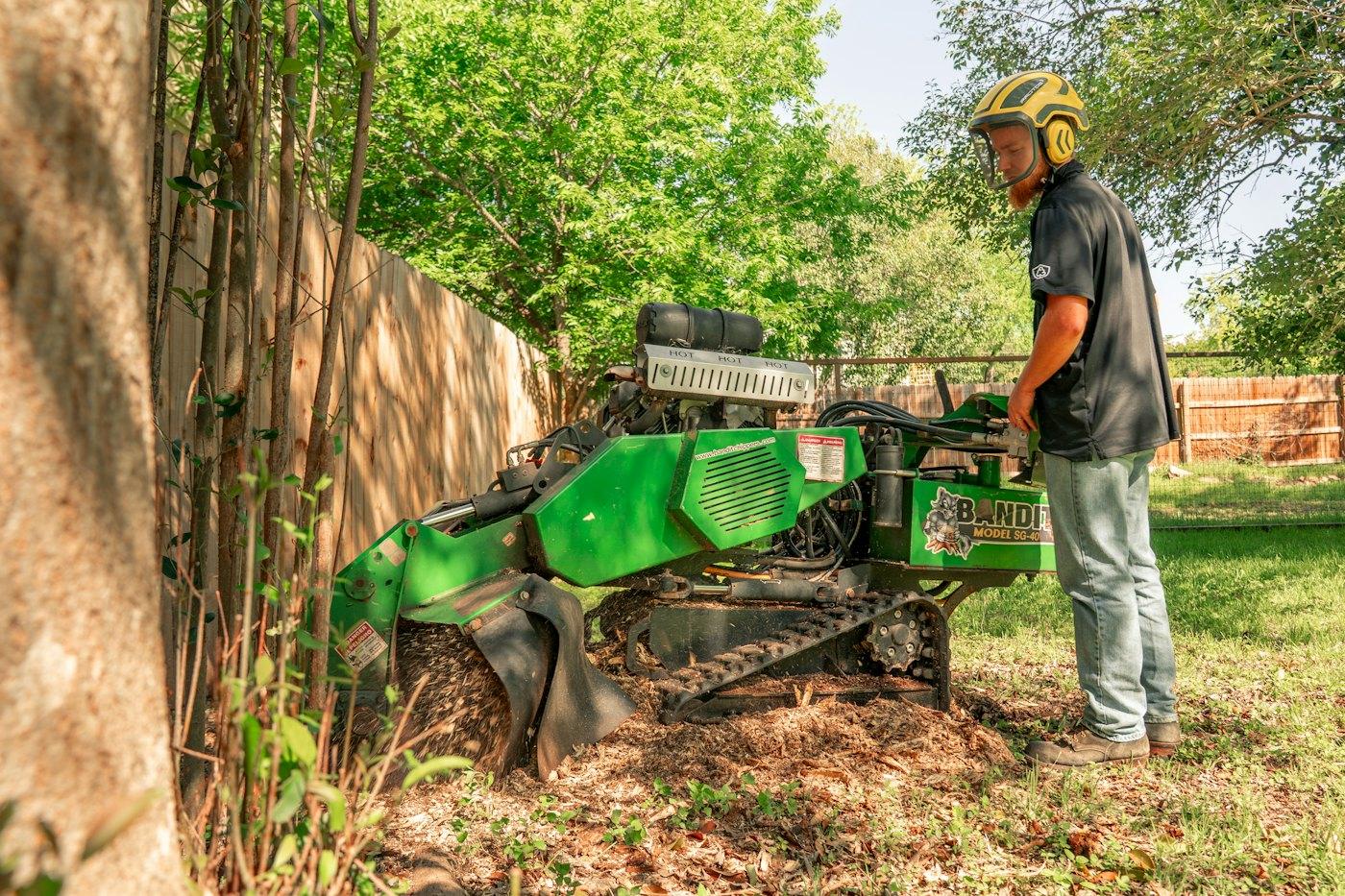 A worker running a stump grinder in a fenced backyard